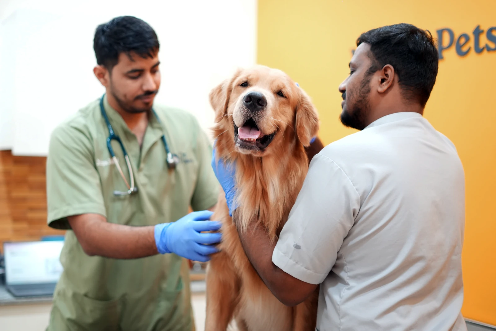 Doctors That Care image