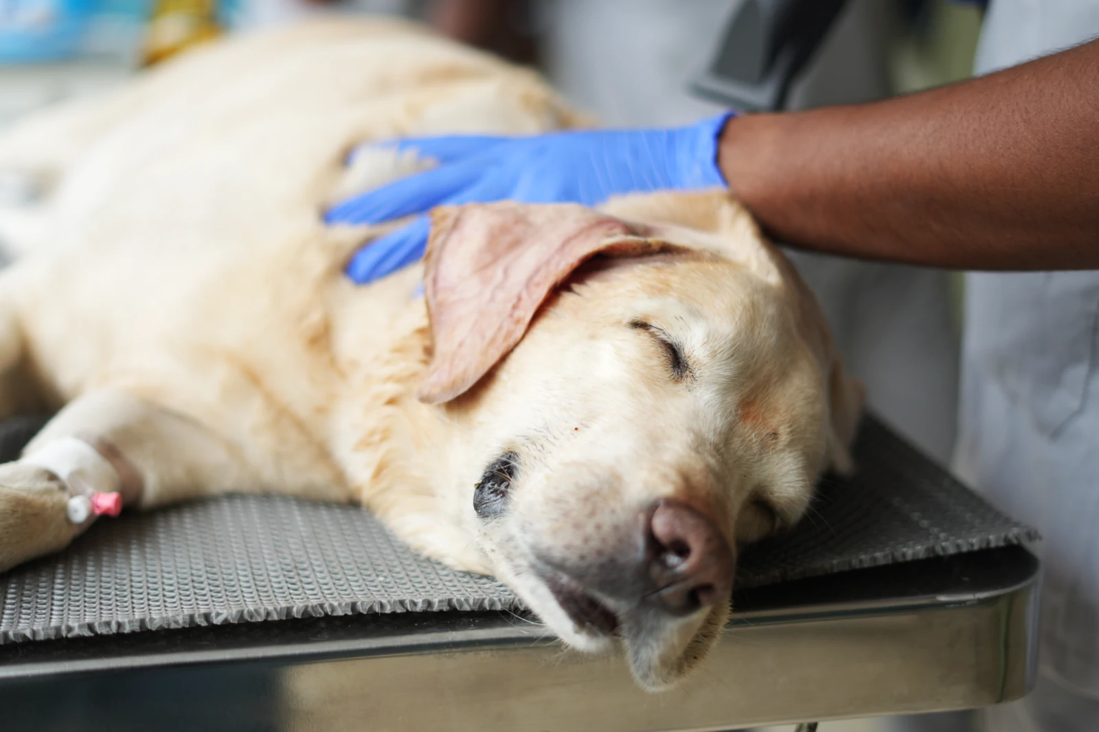 Only the Necessary Treatment image